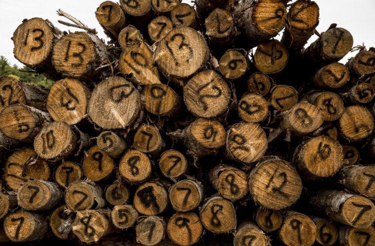 A stack of marked logs ready to be processed off Route 4 in Turner. Players in Maine's forest products industries are trying to adapt to changing markets.