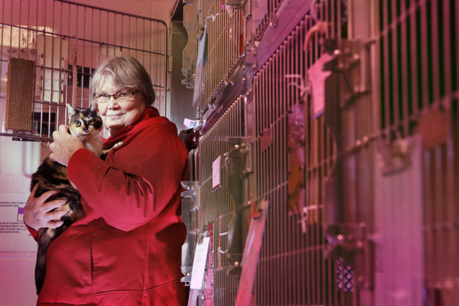 Beverly Russell holds Freedom the cat at the Animal Welfare Society in Kennebunk. Russell has volunteered with Community Animal Watch, a group that catches stray animals and raises money to help cover the cost of food and veterinary bills.