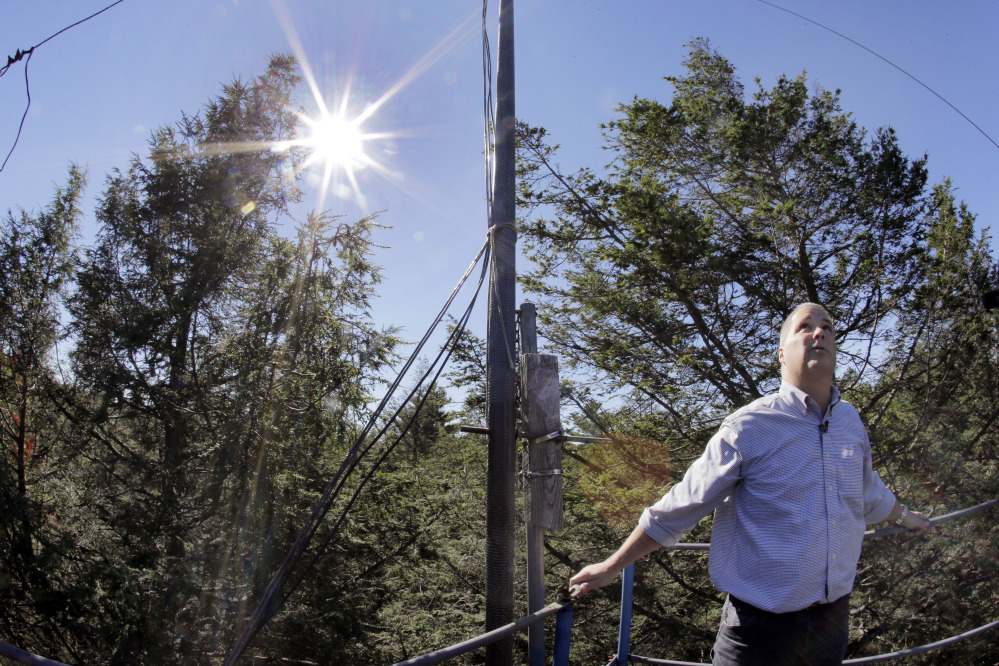Harvard ecologist David Orwig stands atop a research tower at Harvard University's forest in Petersham, Mass. Forests from New England to the West Coast are jeopardized by invasive pests that defoliate and kill trees. Scientists said the pests are driving some tree species toward extinction and causing billions of dollars a year in damage.