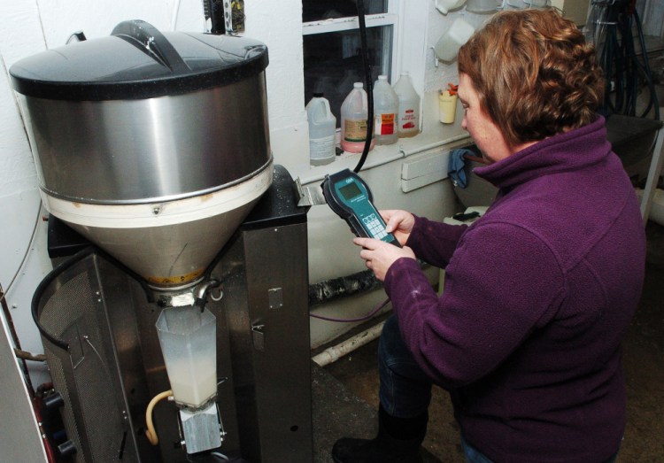 Cammie Curtis enters information on a computer connected to a milk machine that dispenses specific amounts of milk to individual calves at the Aghaloma Farm in Knox on Wednesday.