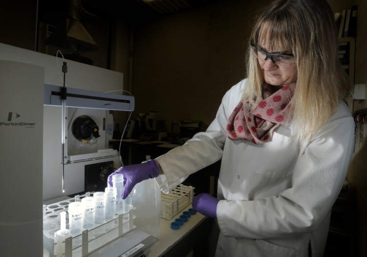 Rebekah Sirois, an environmental scientist with the Portland Water District, demonstrates the testing process last week. The district tested samples from almost every school in its area; none was found to have high lead levels.