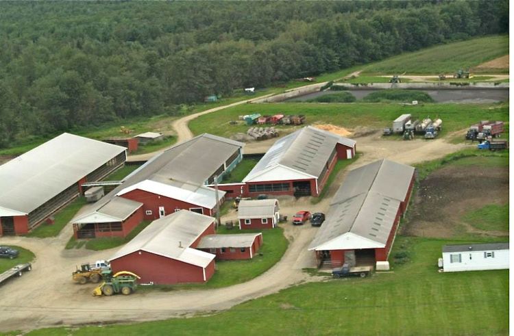 Misty Meadows Farm in Clinton. Hundreds of the  1,500 cows on the farm were released by vandals last week. <em>Photo from Facebook</em>