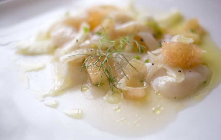 Scallop crudo with grapefruit, fennel and chili.