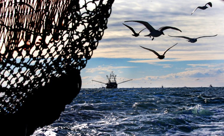 Large fishing boats drag for scallops last week in the Gulf of Maine. Maine's small boat fishermen scrambled in bad weather this season to reach their quota so the scallop grounds would be closed to the larger boats, which have no quotas under federal fishing rules.