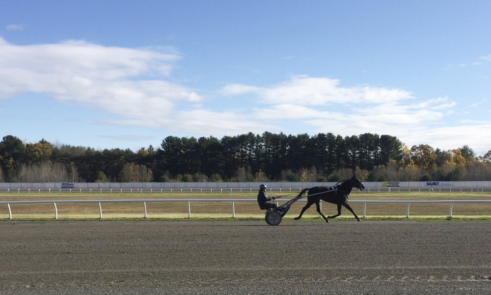 A horse and driver train at Scarborough Downs last fall. Managers of Scarborough Downs confirmed Friday that they are under contract to be sold to a developer. The nearly 500-acre harness-racing facility has been for sale since last year. Its current operators say the 66-year-old track has been crippled by dwindling profits and attendance, increasing competition from casinos and online gambling, crumbling facilities and continuing controversy with horse owners and trainers. (Staff photo by Kelley Bouchard)