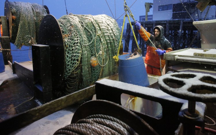 Shawn Keppler guides a bucket of cod out of the hold of the Jamie & Ashley at the Portland Fish Pier in 2014. 