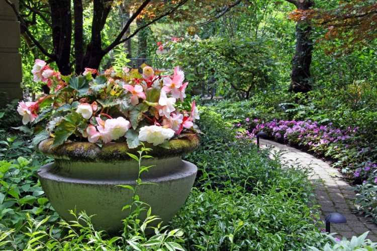 Begonias and impatiens pretty up a planter, and will keep blooming after perennials have called it quits for the season.