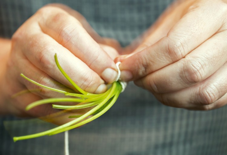 Christine Burns Rudalevige bundles cilantro stems together with string before adding them to the pan for vegetable curry.