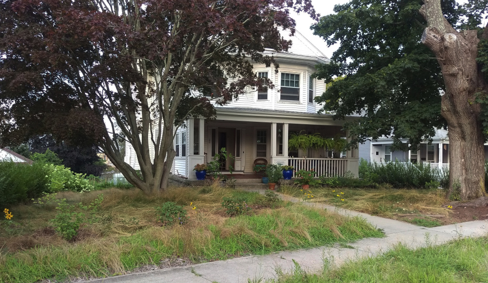 Photo provided by Maggie Redfern shows her yard in New London, Conn. Redfern was issued an abatement order from the city of New London's blight officer.