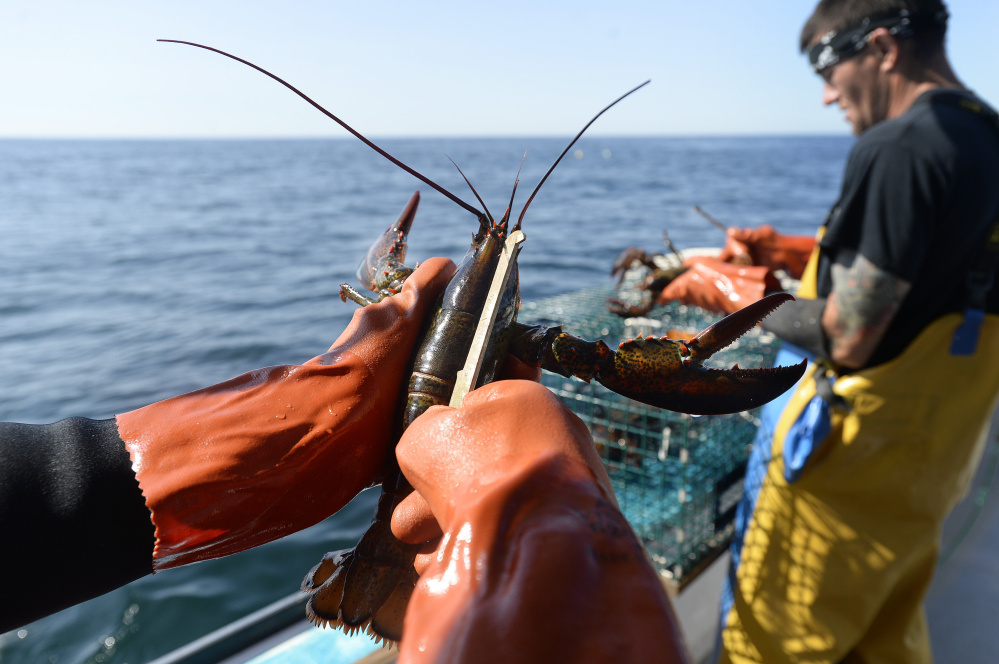 If the Trump administration allows Atlantic oil and gas exploration to move ahead, Maine's $735 million-a-year fishing catch could be disrupted by seismic blasts that are loud enough to be heard underwater up to 2,500 miles away.