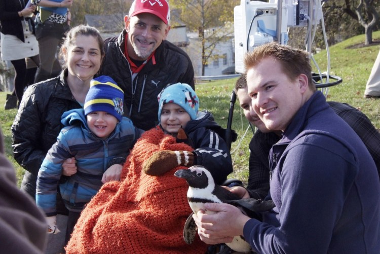 Josh Davis, right, a senior penguin trainer with Mystic Aquarium in Mystic, Connecticut, shows one of two African penguins to Jacob Thompson, 9, center, at Maine Medical Center in Portland on Thursday. Jacob has received goodwill cards and wishes from far and wide. And now he has had a visit from his favorite animal. With Jacob are his mother, Michelle Thompson Simard, and other family members.