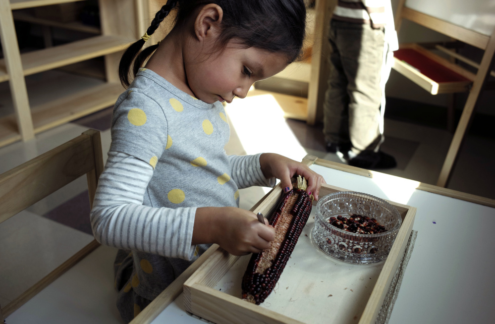 A child in a Wampanoag immersion class removes kernels from an ear of corn in Mashpee, Mass. Students are learning a tribal language that hadn't been spoken for at least a century.