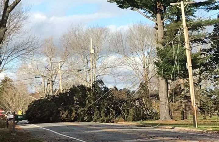 Wells Street in North Berwick Friday morning after high winds blew a tree across the road, downing wires.