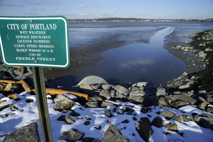 Portland is half-way through a $170 million plan to drastically reduce the amount of raw sewage that discharges into Back Cove and Portland Harbor. Included in the project is a disruptive construction of State Street, a major thoroughfare in the city. Replacement of runoff culverts around Back Cove are included in the on-going project. 