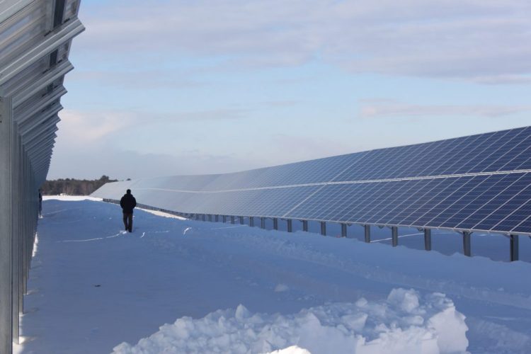 Fortunat Mueller, co-founder of ReVision Energy, strolls between 2 rows of solar panels during a ribbon cutting event at Brunswick Landing on Wednesday. 