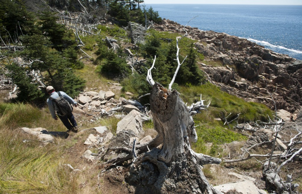 A public trail in the Frenchboro Preserve in Hancock County is managed through the Maine Coast Heritage Trust. Its spokesman, Jeff Romano, notes that land trusts "cover less than 1 percent" of tax-exempt property in Maine.
