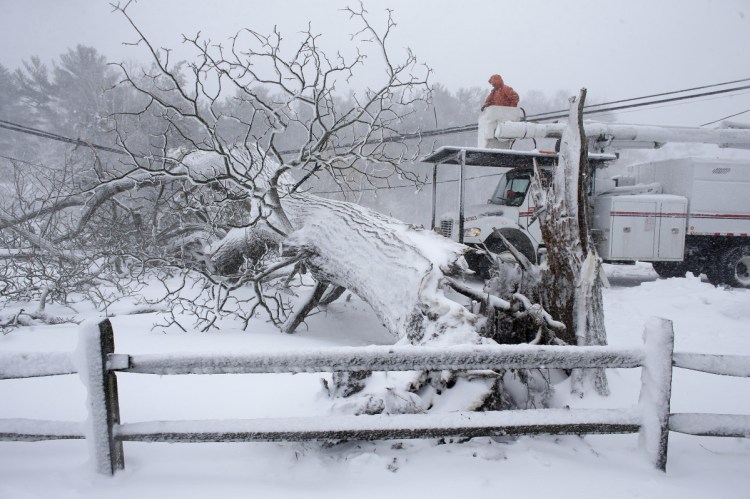 Workers remove a fallen tree from a road and repair power lines during a  storm Tuesday in Norwell, Mass.