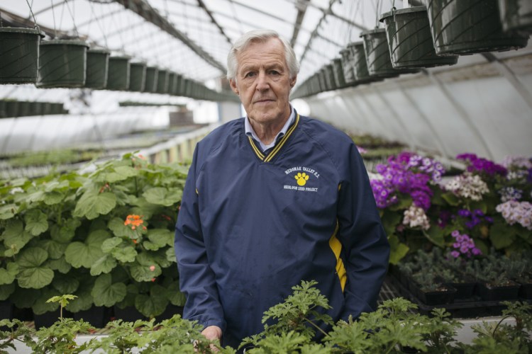 Neil Lash inside the Heirloom Seed Project greenhouse at Medomak Valley High.