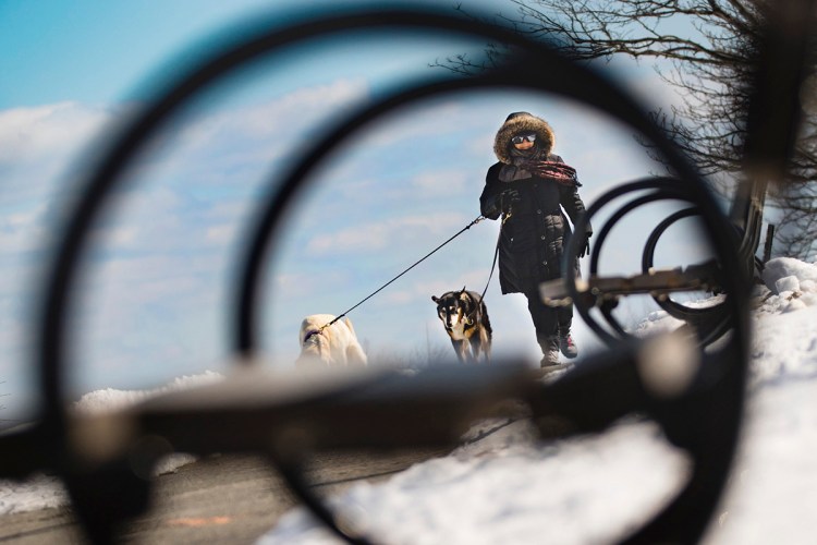 With a brisk, cold breeze off the water, Janet Raffeln of Portland is bundled up while walking her dogs along the Eastern Prom in Portland on March 16, 2018.