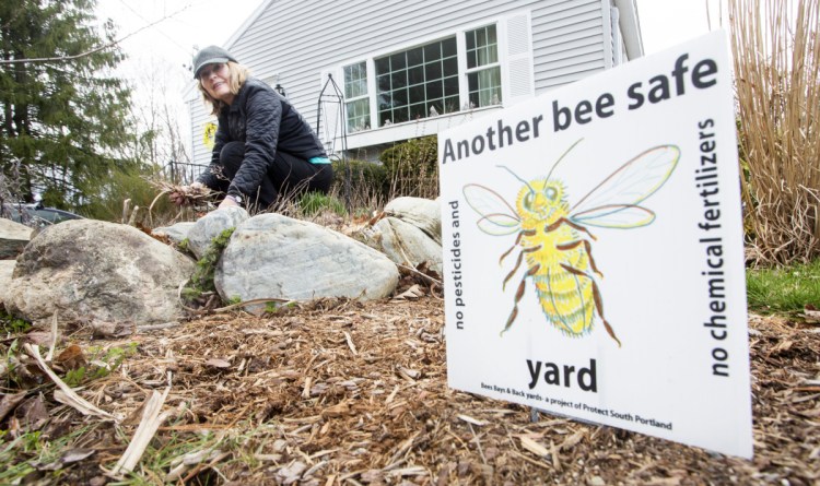 Cathy Chapman, master gardener and a coordinator of Protect South Portland, supported the city's pesticide ordinance, which passed in 2016.