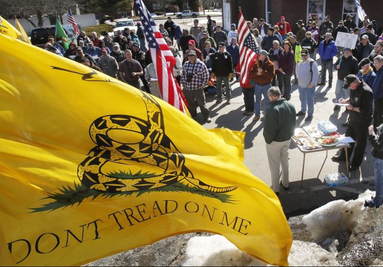 About 175 people attend a rally protesting gun control legislation and supporting gun rights in Wiscasset in 2013. 