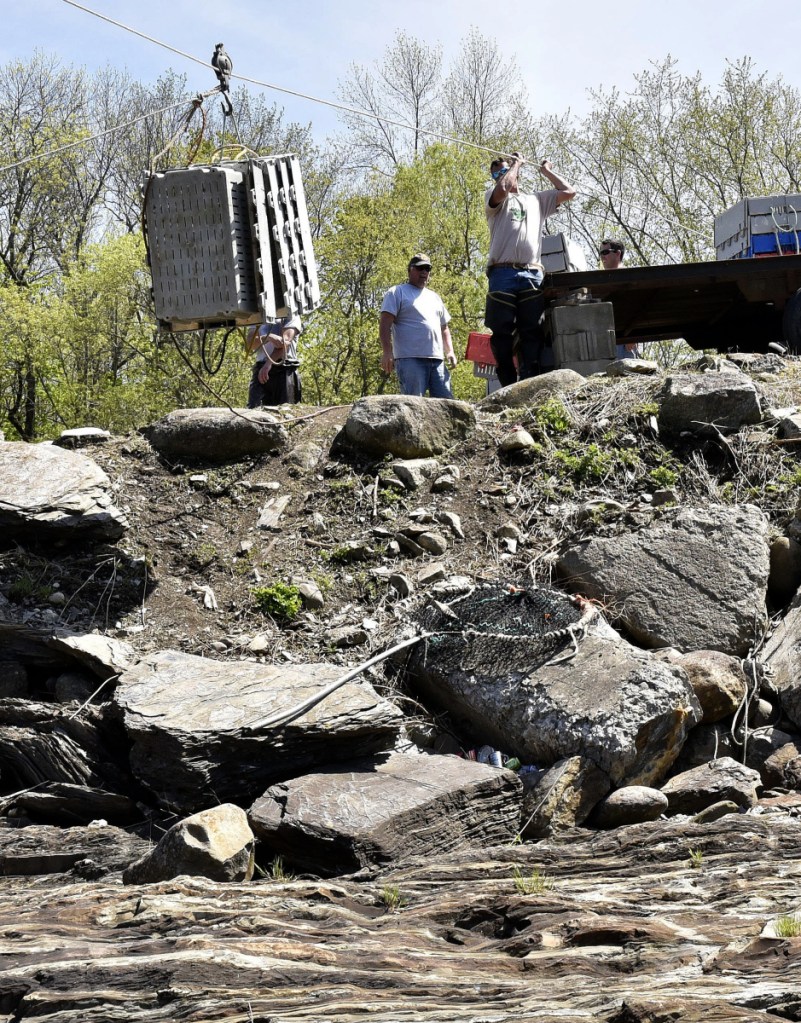 Crates are lowered on ropes Wednesday to workers harvesting alewives below the Benton Falls dam.