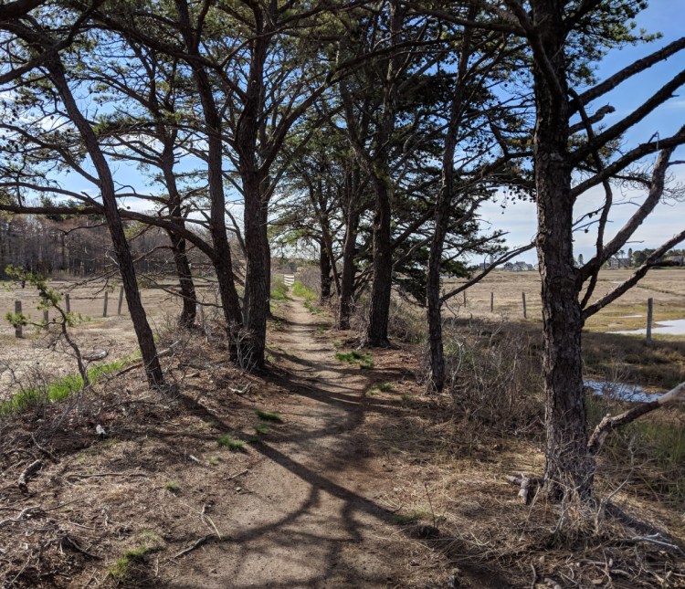 The Bridle Path brings you to the shore of the Atlantic Ocean. Toe-dipping is all but mandatory. 