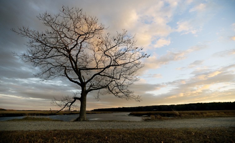 A stretch of the Eastern Trail runs through Scarborough. The wide, flat, multiuse trail currently boasts 22 off-road miles from South Portland to Kennebunk.