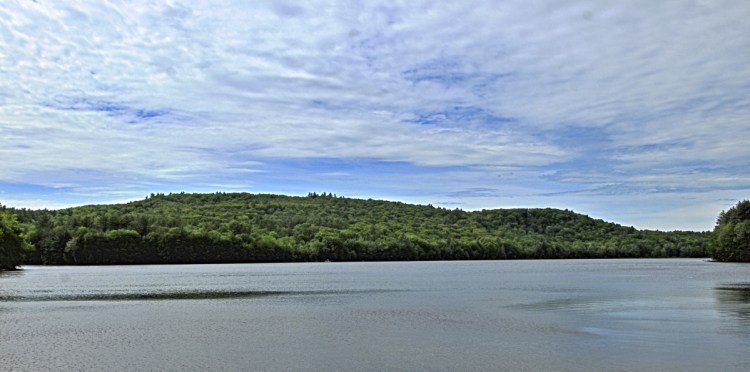 Forested land owned by the town of Wayne on Wilson Pond is seen in 2015. Town officials are seeking public feedback on whether the 118-acre land should be sold or preserved, or a combination of the two.