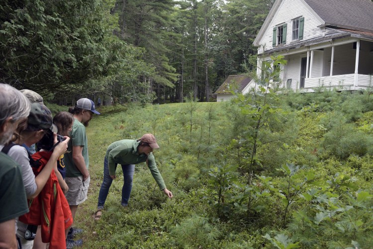 Members of the New England chapter of Backcountry Hunters and Anglers learn to forage Sunday from Jenna Rozelle-Darcy, right, on Swan Island in the Kennebec River.