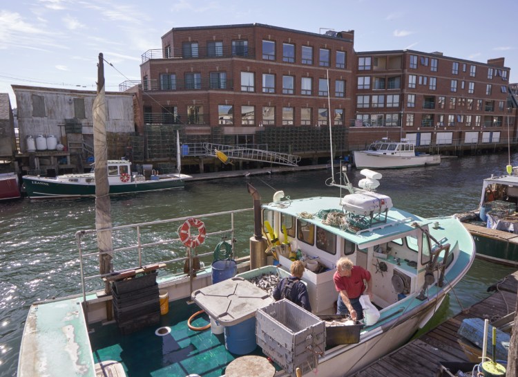 A lobsterman and a sternman sort bait after returning to Portland Harbor in September 2017. Fishermen fear losing access to Portland's waterfront.