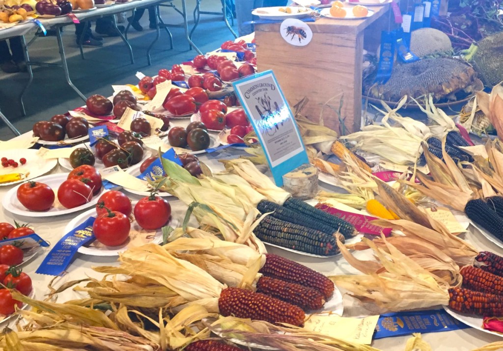 The exhibition hall is packed with unique varieties of fruits, vegetables and flowers grown organically.