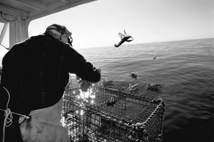 "Throwing Back Shorts, Casco Bay, Portland," by Dave Wade, 2000, archival pigment print.