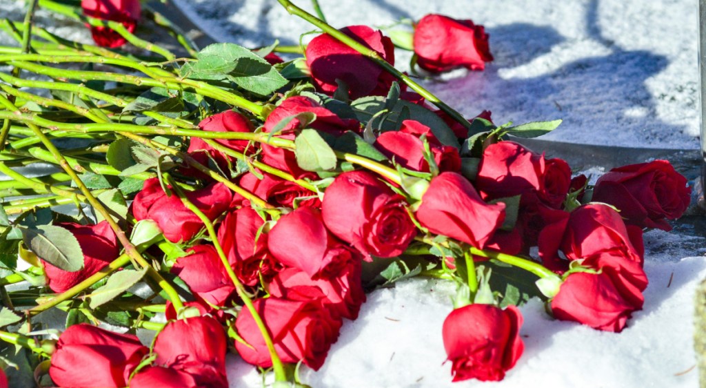 Forty-six red roses rest outside the State House, a symbol of the number of years that have passed since the 1973 Supreme Court ruling lifting abortion bans nationwide.