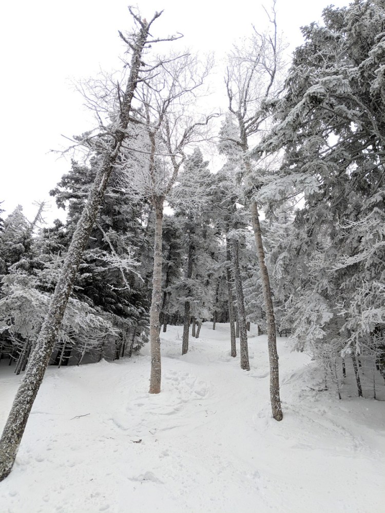There's snow, there's wind, there's bitter cold. But there's also skiing, and it can be done with a little preparation.