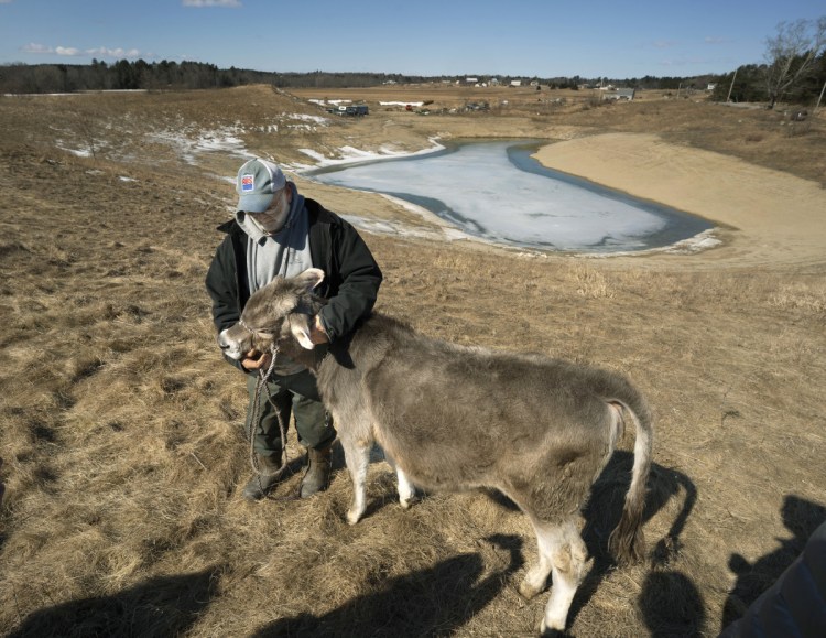 The soil, grass and Fred Stone's cows and the milk they produce have high levels of PFAS chemicals because of sewage sludge that Stone spread on the fields from 1983 to 2004.