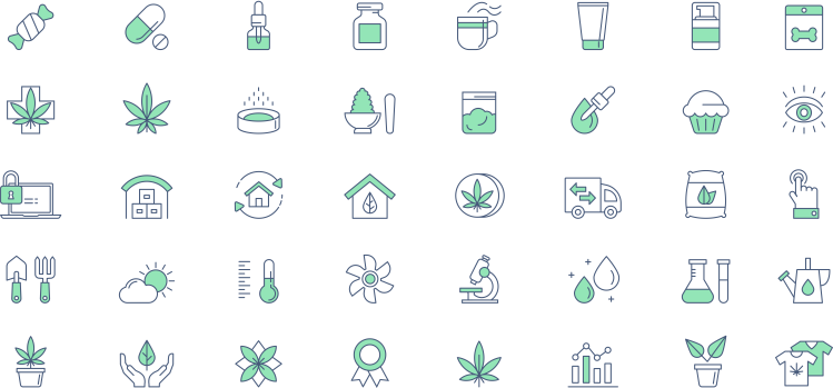 From root to bud to retailer, cannabis cultivation requires skills in agriculture, manufacturing and marketing.