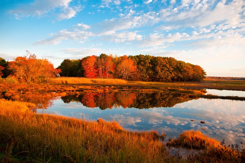 The Scarborough Marsh during an autumn dawn. 