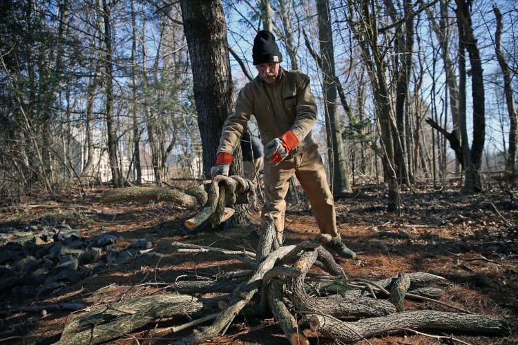 There are plenty of chances on Earth Day for Mainers to help clean up their environs. 