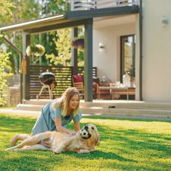 Teenage girl plays in a grassy backyard with a golden retriever, scratching its back while it holds a ball in its mouth.