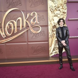LA Premiere of "Wonka"